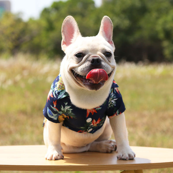 Pet Hawaiian Shirt